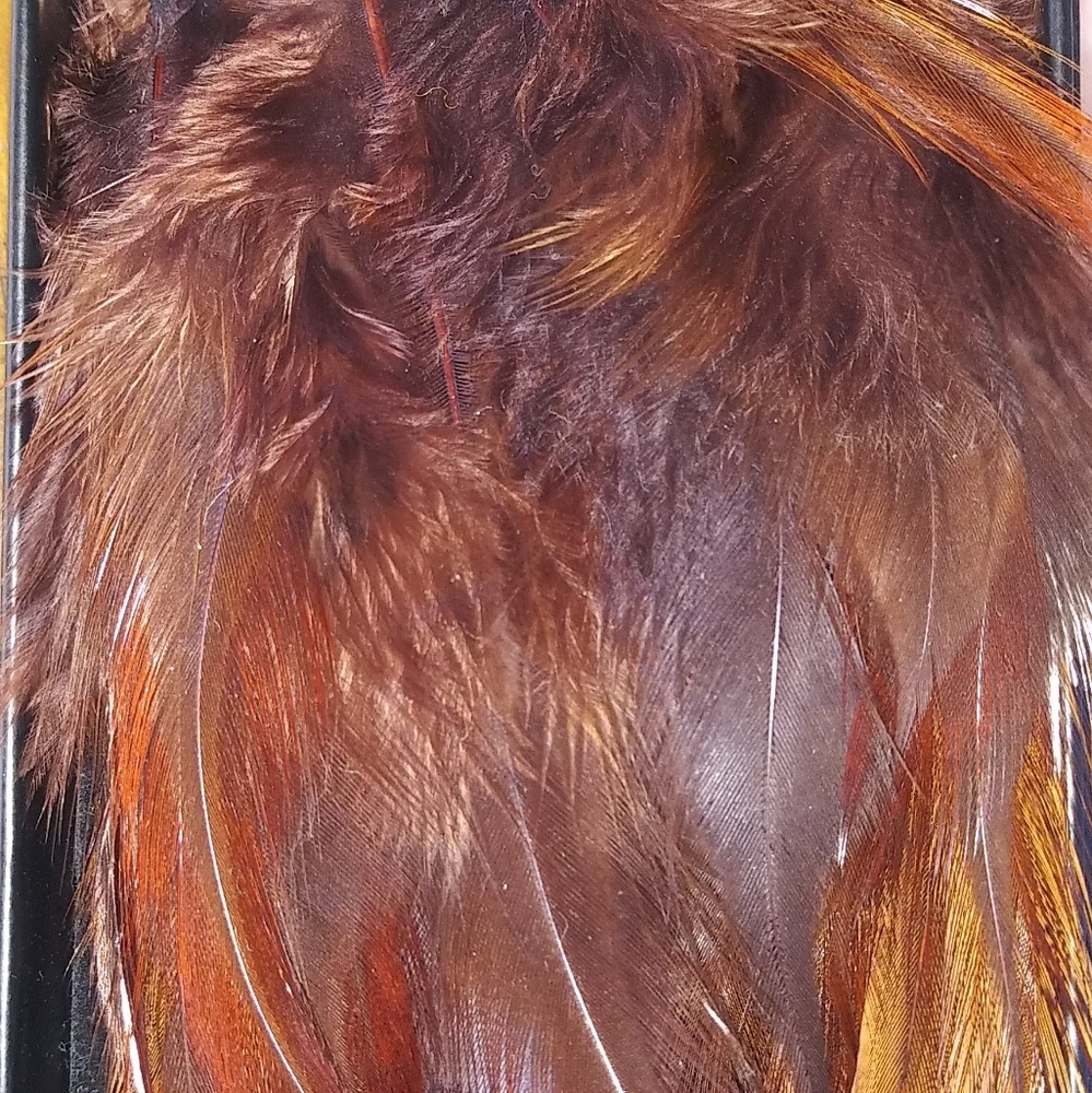 Avon Gold hoop & feather earrings.